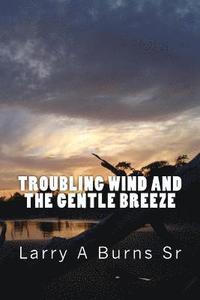 bokomslag Troubling Wind and the Gentle Breeze