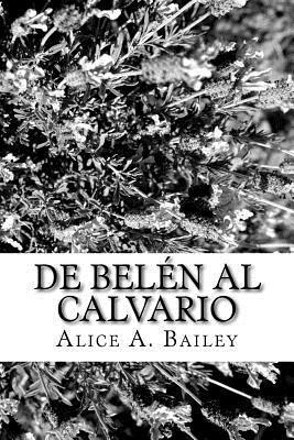 bokomslag De Belén al Calvario
