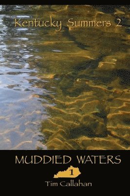 Muddied Waters 1