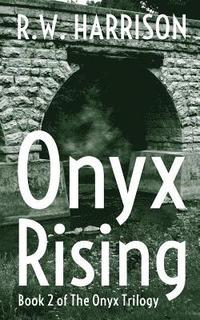 bokomslag Onyx Rising
