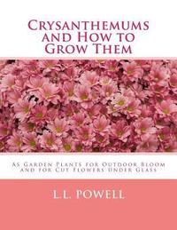 bokomslag Crysanthemums and How to Grow Them: As Garden Plants for Outdoor Bloom and for Cut Flowers Under Glass