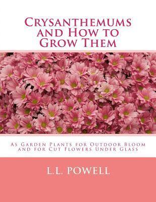 bokomslag Crysanthemums and How to Grow Them: As Garden Plants for Outdoor Bloom and for Cut Flowers Under Glass