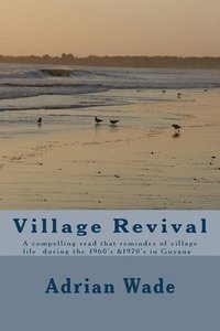 bokomslag Village Revival