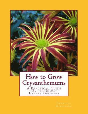 How to Grow Crysanthemums: A Practical Guide By the Most Expert Growers 1