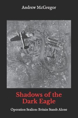 Shadows of the Dark Eagle 1