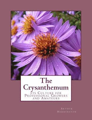 bokomslag The Crysanthemum: Its Culture for Professional Growers and Amateurs