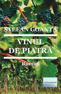 bokomslag Vinul de Piatra: Roman