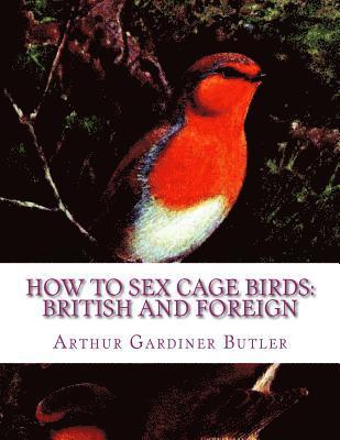 bokomslag How To Sex Cage Birds: British and Foreign