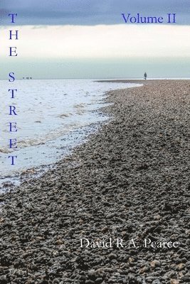 bokomslag The Street Vol 2: Sonnets of a Time and other poems