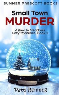 bokomslag Small Town Murder