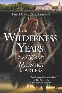 bokomslag The Wilderness Years