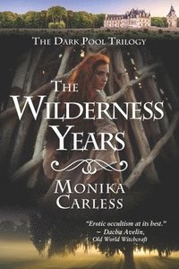 bokomslag Wilderness Years