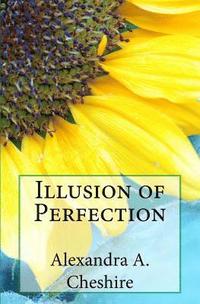 bokomslag Illusion of Perfection