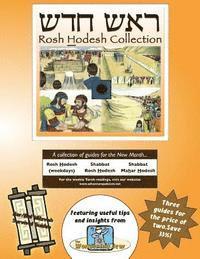 bokomslag Bar/Bat Mitzvah Survival Guides: Rosh Hodesh Collection