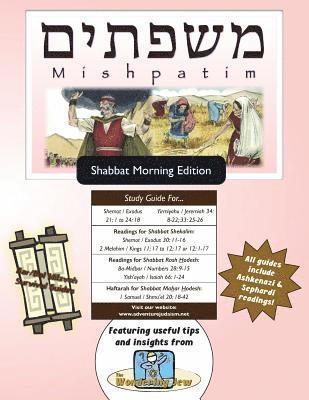 bokomslag Bar/Bat Mitzvah Survival Guides: Mishpatim (Shabbat am)