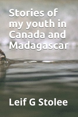 Leif Gordon Stolee - Stories of my youth in Canada and Madagascar, Häftad