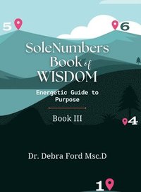 bokomslag SoleNumbers Book of Wisdom