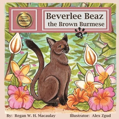 Beverlee Beaz the Brown Burmese 1