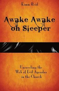 bokomslag Awake Awake oh Sleeper