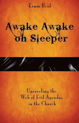 bokomslag Awake Awake oh Sleeper: Unraveling the Web of Evil Agendas in the Church