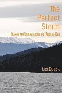 bokomslag The Perfect Storm