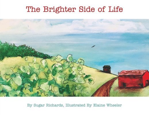 Sugar Richards - Brighter Side of Life, Häftad