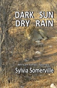bokomslag Dark Sun, Dry Rain