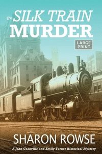 bokomslag Silk Train Murder