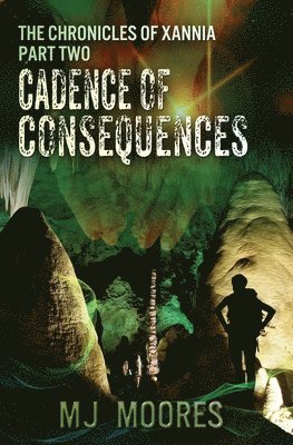 bokomslag Cadence of Consequences