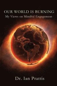 bokomslag Our World is Burning: My Views on Mindful Engagement
