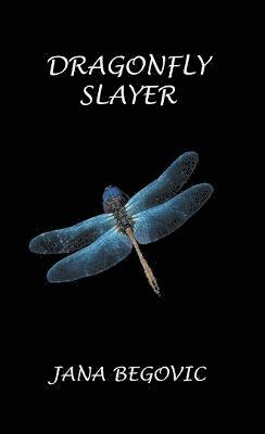 Dragonfly Slayer 1