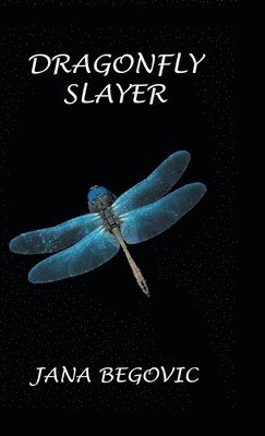 Dragonfly Slayer 1