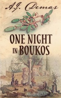 bokomslag One Night in Boukos