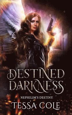 Destined Darkness 1