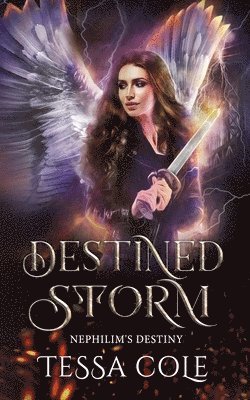 Destined Storm 1