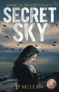 bokomslag Secret Sky