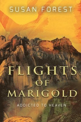 Flights of Marigold 1