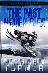 bokomslag Past Never Dies