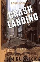 bokomslag Crash Landing: Survival in a dystopian world