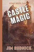 bokomslag Castle Magic: Survival in a Dystopian World!