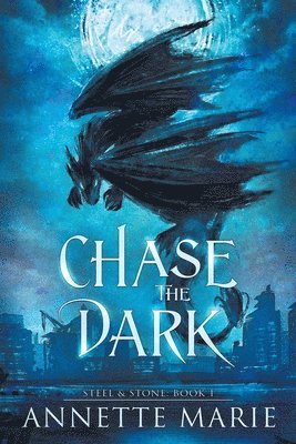 bokomslag Chase the Dark