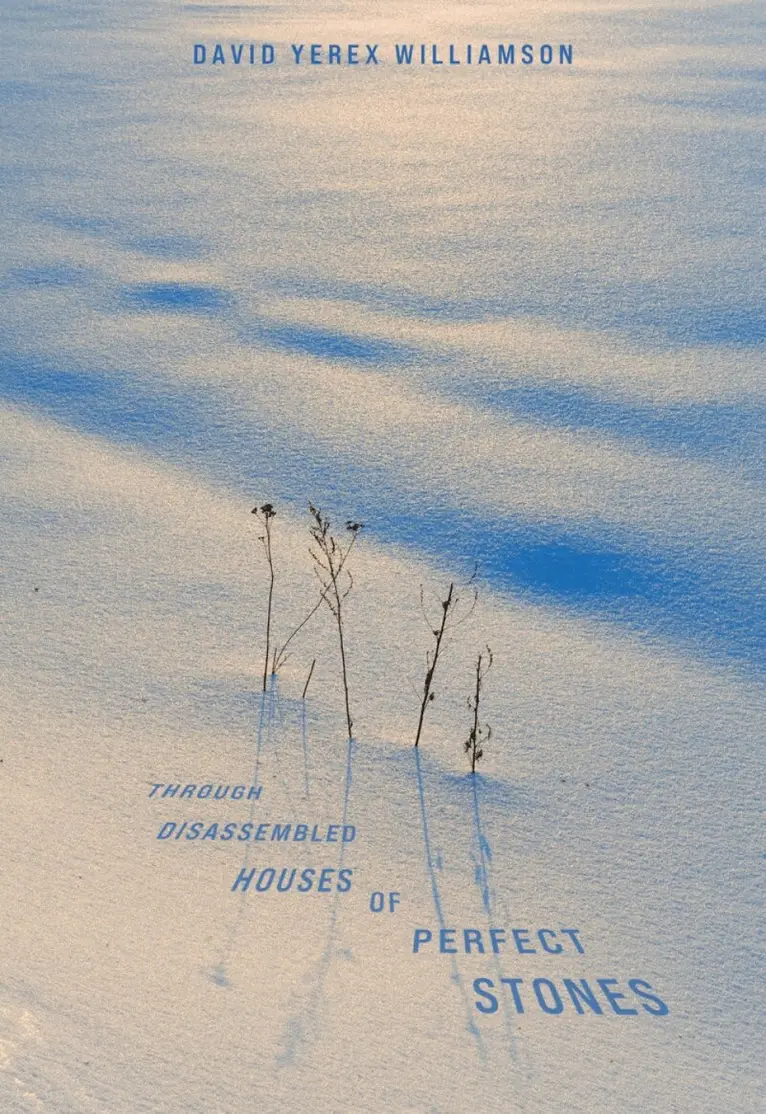 David Williamson - Through Disassembled Houses of Perfect Stones, Häftad. Tillgänglighet: Lägg i varukorg
