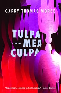 bokomslag Tulpa Mea Culpa