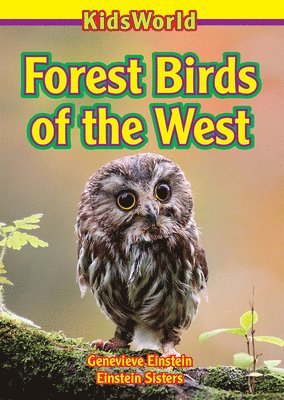 Forest Birds of the West 1