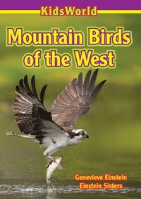 bokomslag Mountain Birds of the West