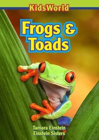 bokomslag Frogs & Toads