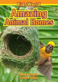bokomslag Amazing Animal Homes