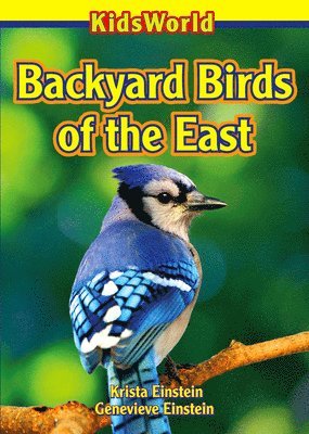 bokomslag Backyard Birds of the East