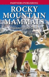 bokomslag Rocky Mountain Mammals: Beginners Field Guide