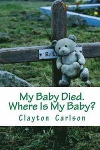 bokomslag My Baby Died. Where Is My Baby?